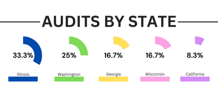 2024 Sales Tax Changes: What Your Business Needs to Know | TaxValet | Sales tax done for you | Illustration of sales tax audit rate by state for the 5 most audited states